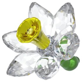Florere Narcis