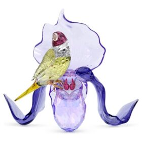Idyllia Gouldův pěnkava a orchidej