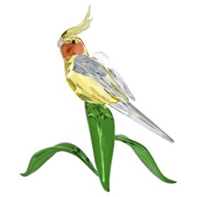 Idyllia – korela