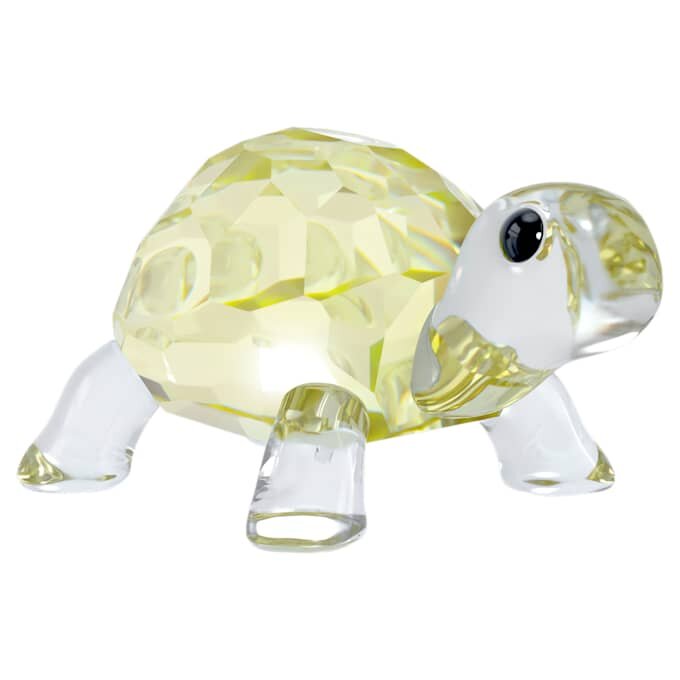 Idyllia – malá želvička Idyllia – malá želvička