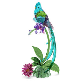 Idyllia Quetzal a orchidej