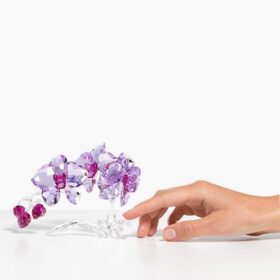 Křišťálové květiny – orchidej Křišťálové květiny – orchidej