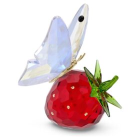 Motýl Idyllia a jahoda
