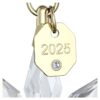 Roční edice 3D ozdoby 2025 Roční edice 3D ozdoby 2025