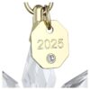 Sada 3D ozdob z roční edice 2025 Sada 3D ozdob z roční edice 2025
